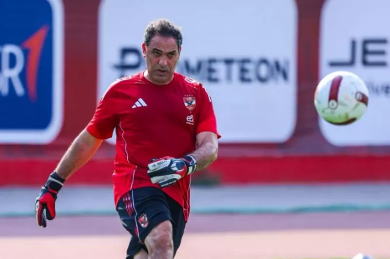 أمير عبدالحميد